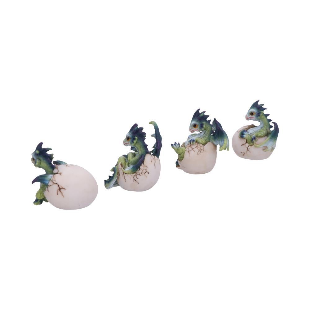 hatchlings emergence (set of 4)