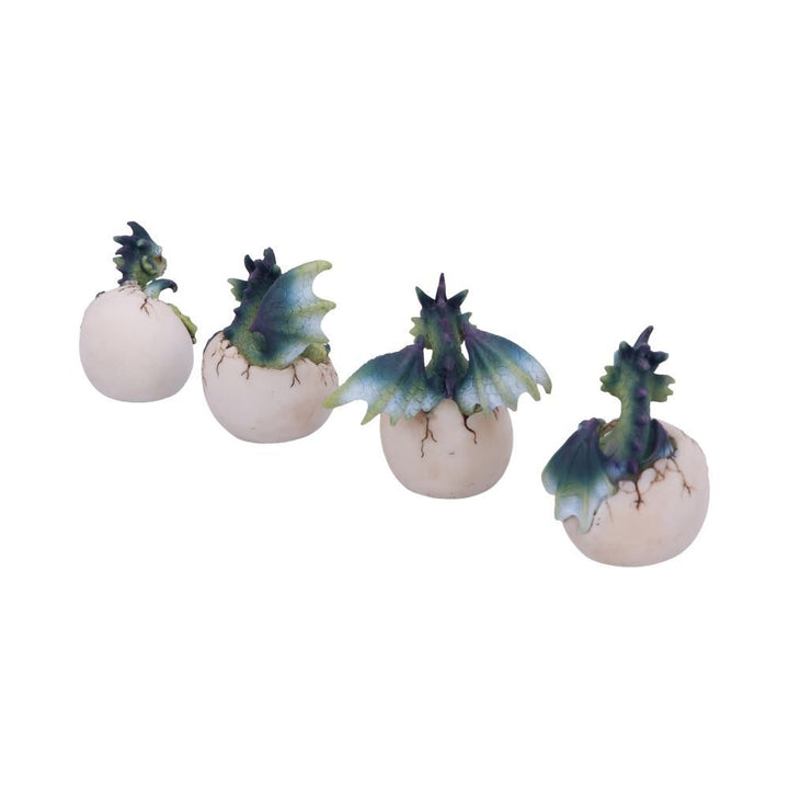 hatchlings emergence (set of 4)