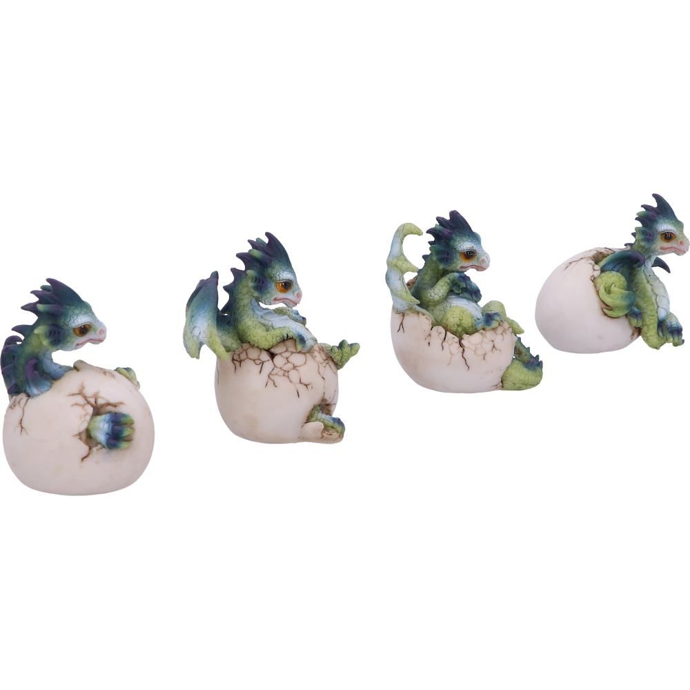 hatchlings emergence (set of 4)