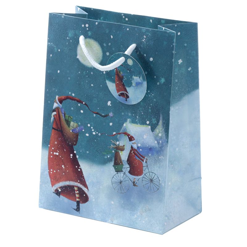 Christmas Santa Gift Bag - Medium | Jan Pashley