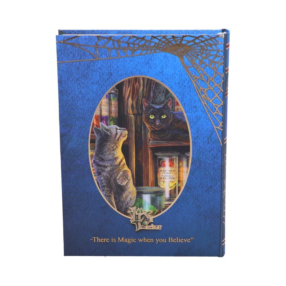 magical emporium journal by lisa parker