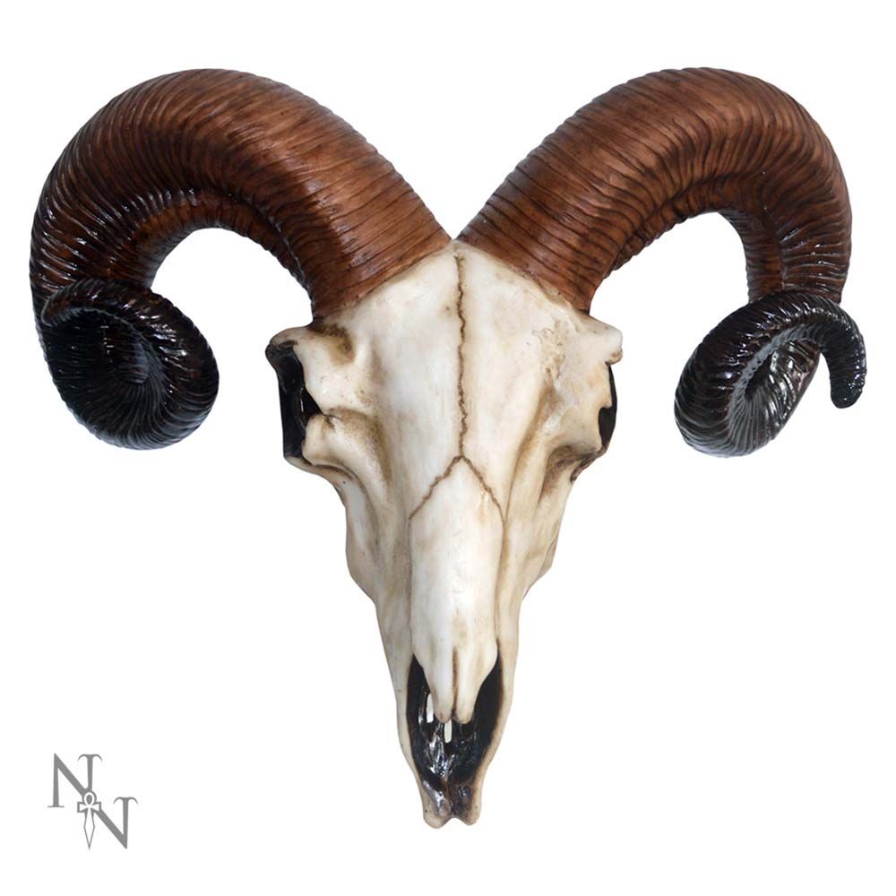 Rams Skull Medium