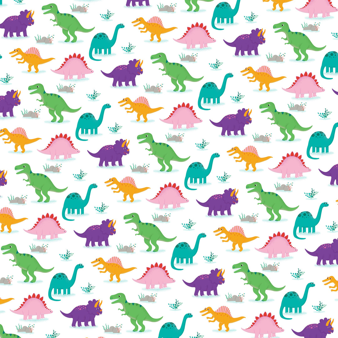 Wrapping Paper | Roarsome Dinosaurs