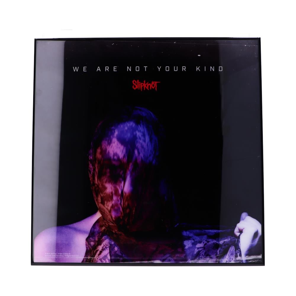 We Are Not Your Kind Crystal Clear Picture | Slipknot
