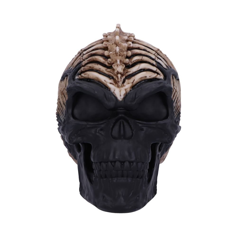 Spine Head Skull | James Ryman