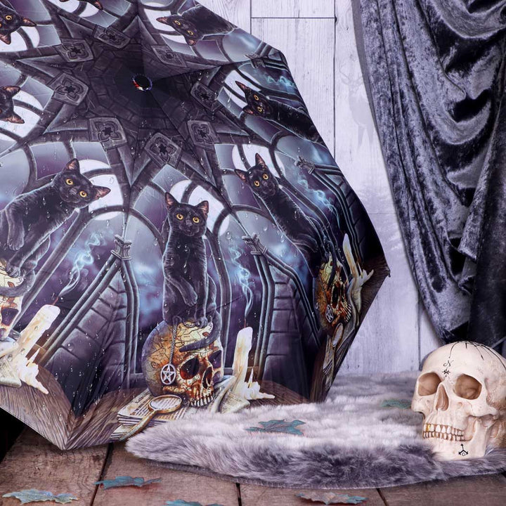 Spirits of Salem Umbrella | Lisa Parker