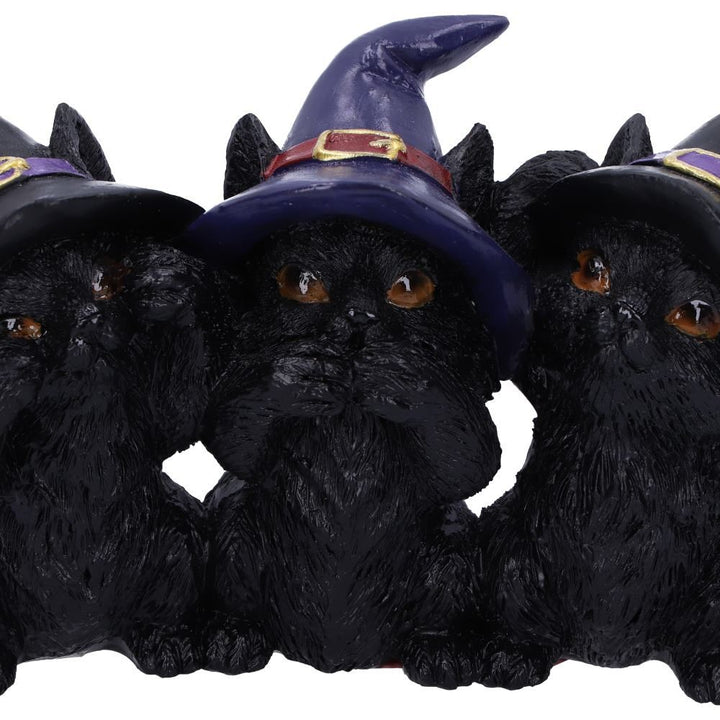 Three Wise Black Cats | Coven Keepers