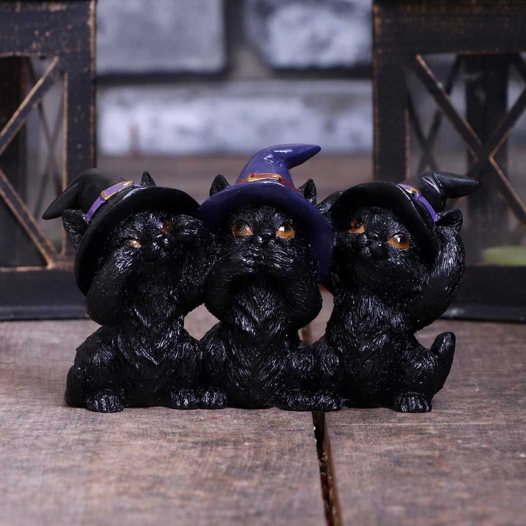 Three Wise Black Cats | Coven Keepers