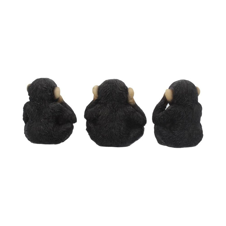 Three Wise Chimps