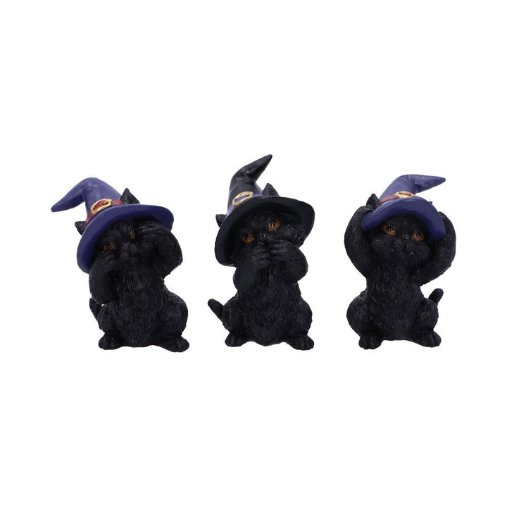 Three Wise Familiars | Coven Keepers