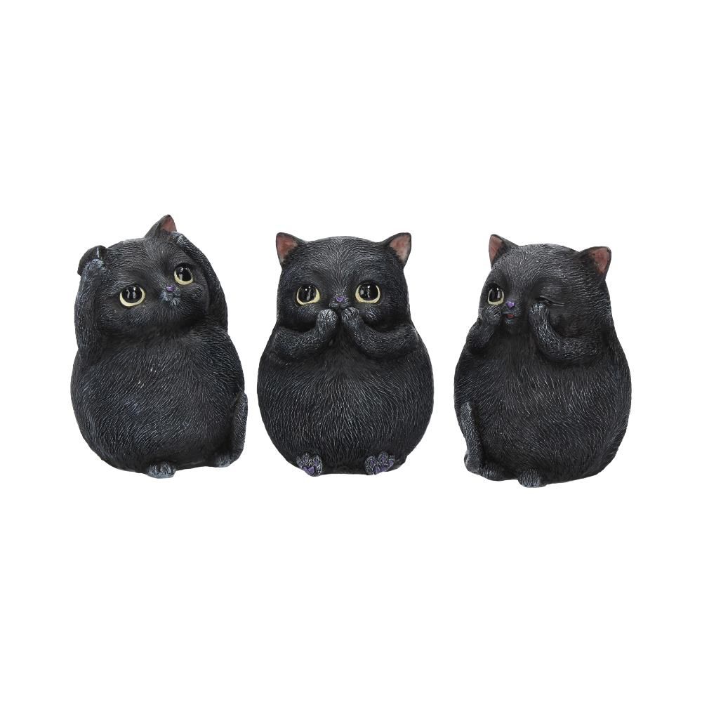 Three Wise Fat Cats