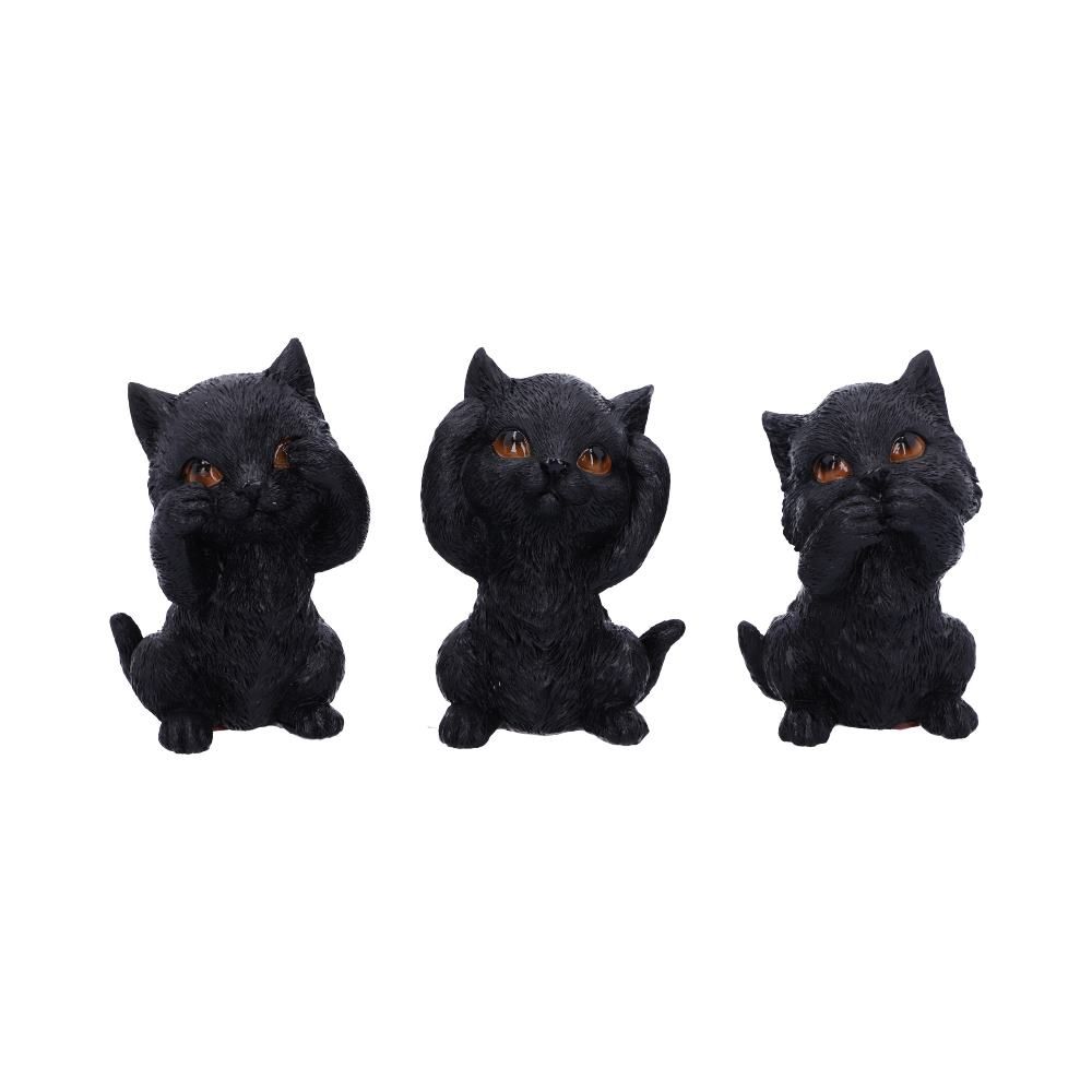 Three Wise Kitties