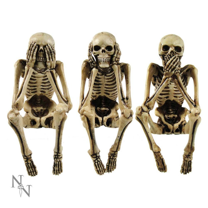 Three Wise Skeletons