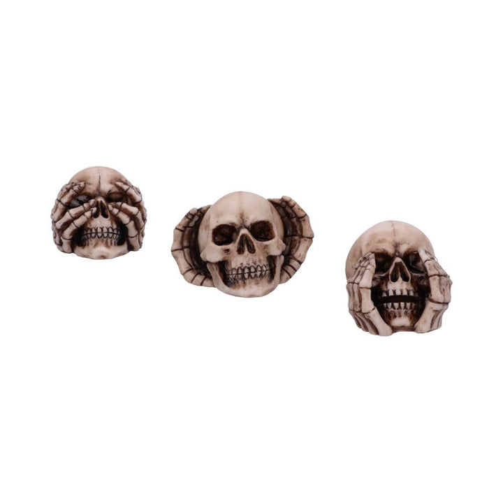 Three Wise Skulls