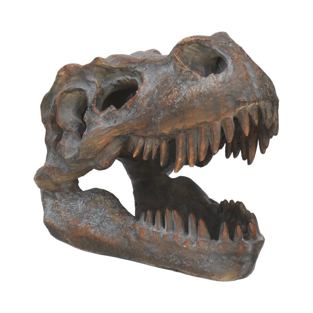 Tyrannosaurus Rex Skull Freestanding