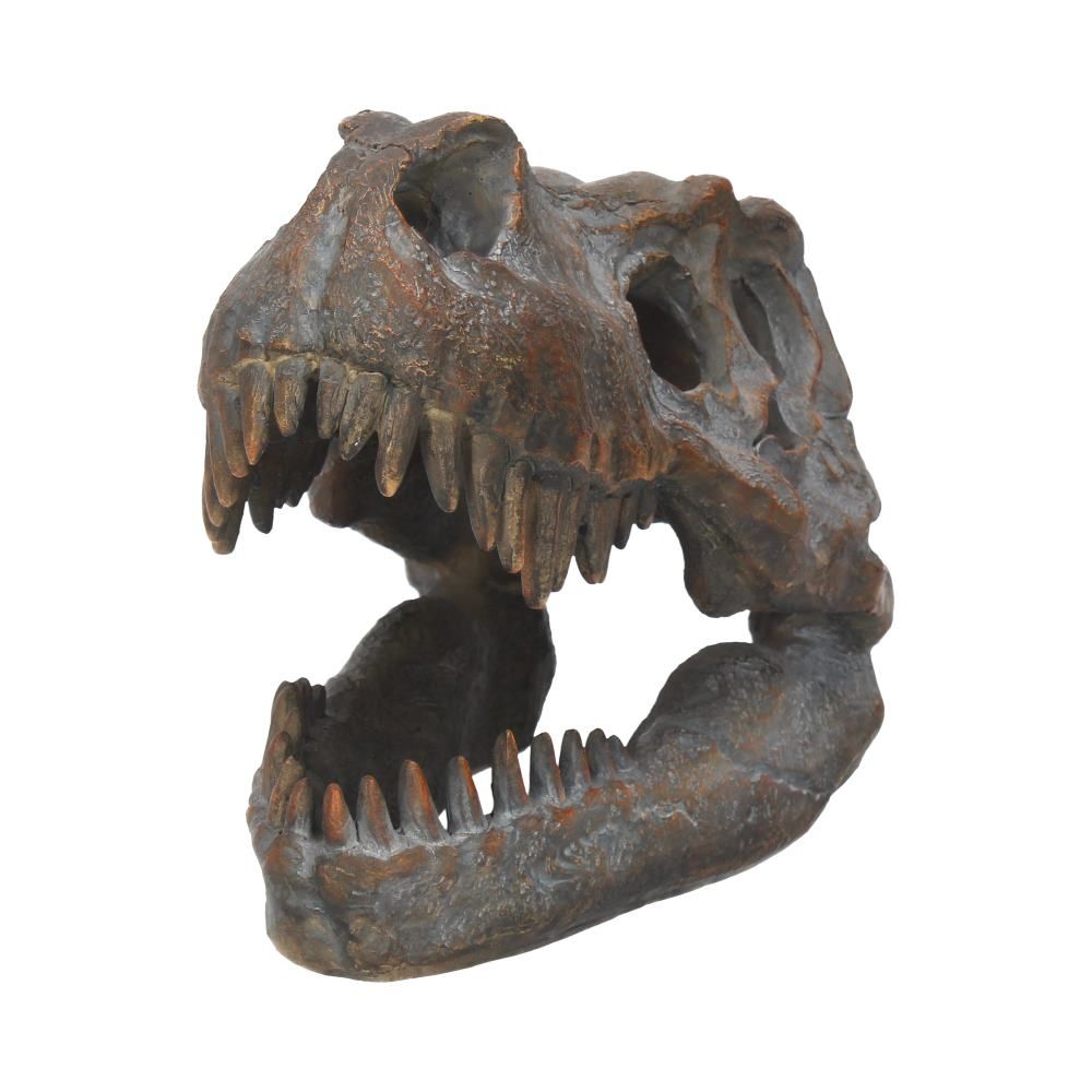 Tyrannosaurus Rex Skull Freestanding
