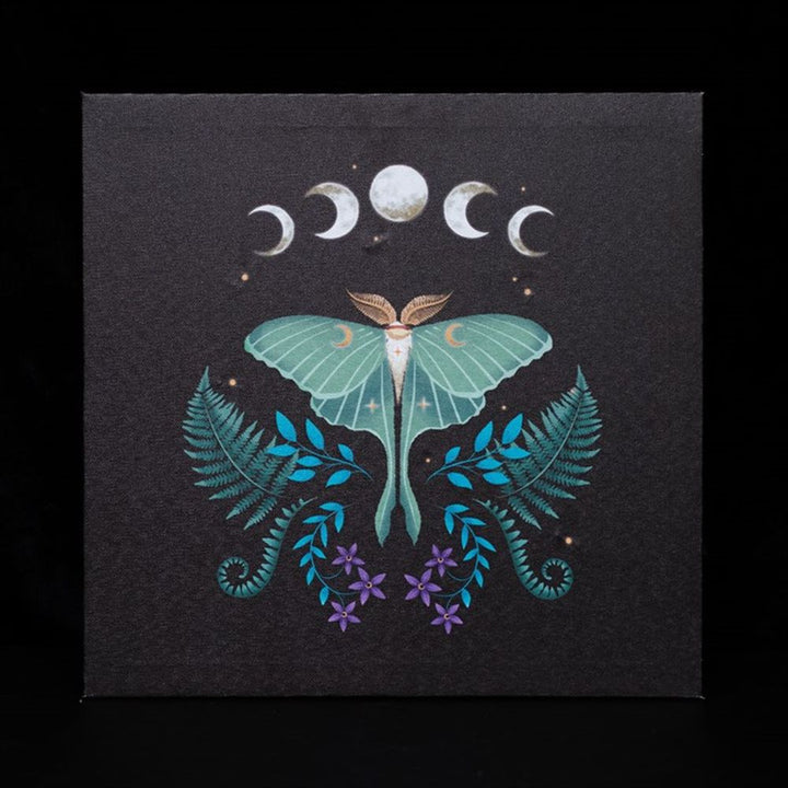 Luna Moth Light Up Canvas Plaque