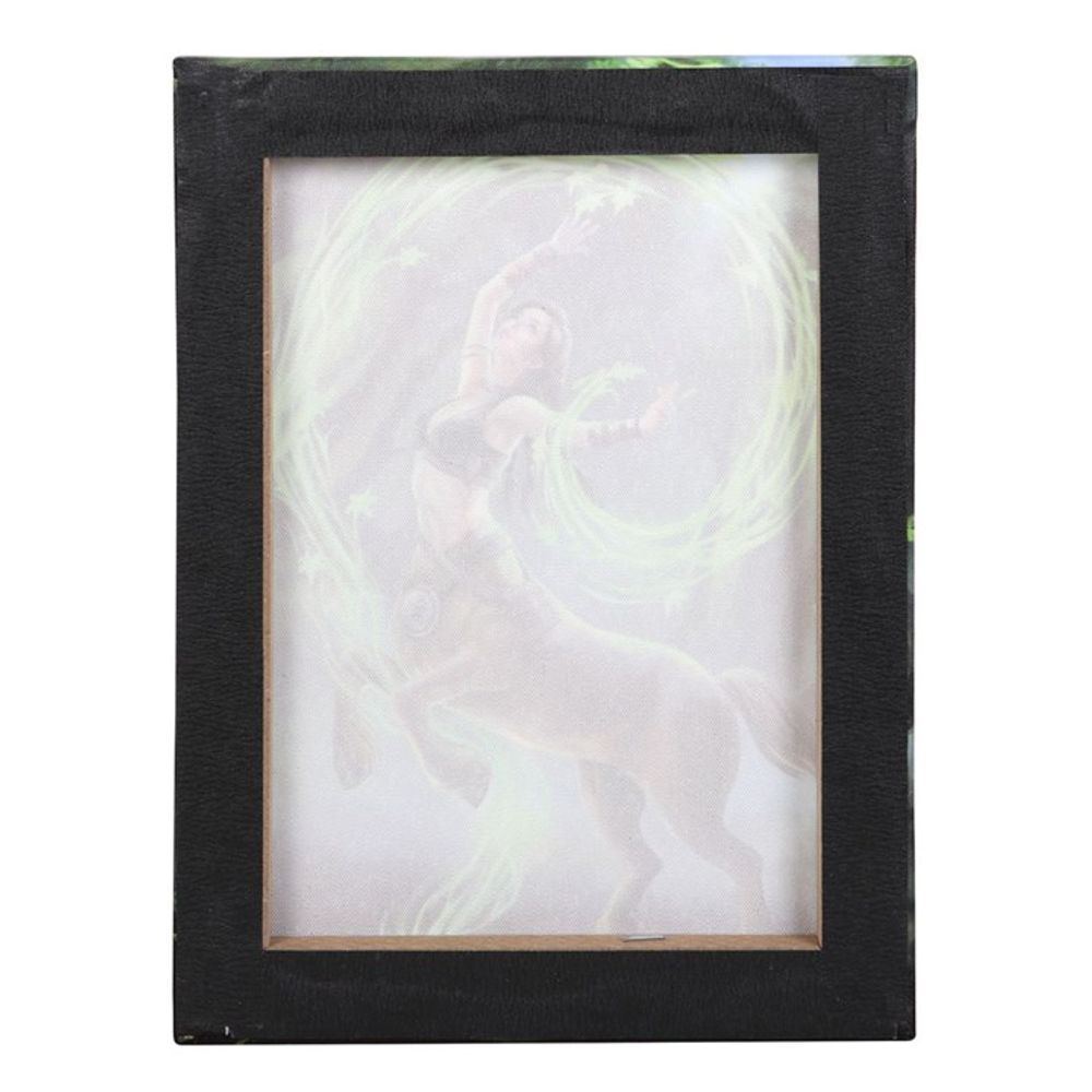 19x25cm Earth Element Sorceress Canvas Plaque by Anne Stokes