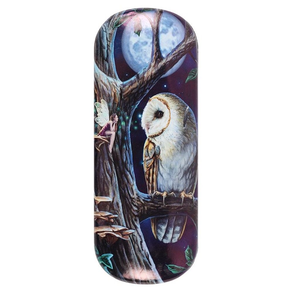 Fairy Tales Glasses Case by Lisa Parker