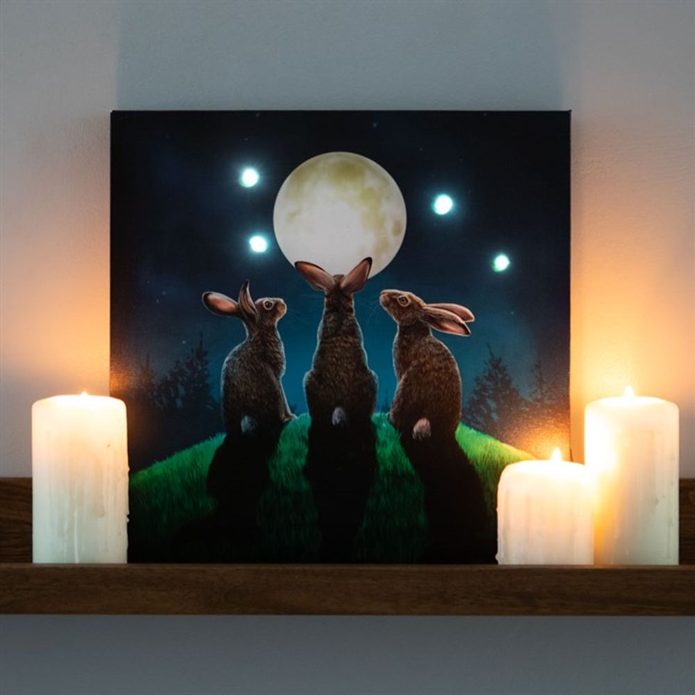 Moon Shadows Light Up Canvas Plaque by Lisa Parker