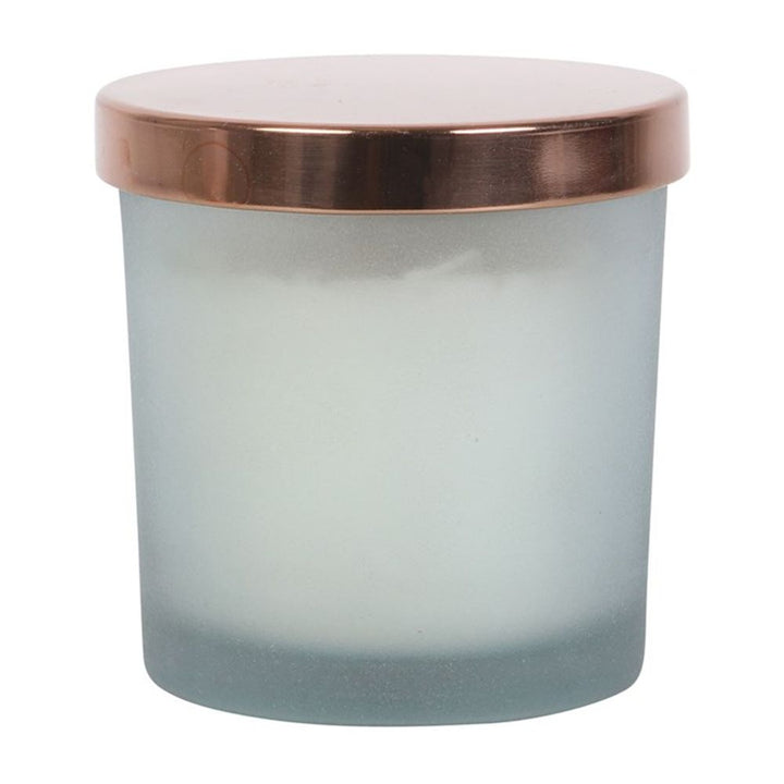 Positive Energy White Sage Crystal Chip Candle