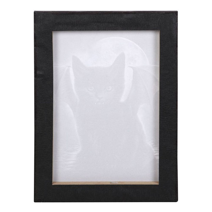 19x25cm Bat Cat Canvas Plaque by Spiral Direct