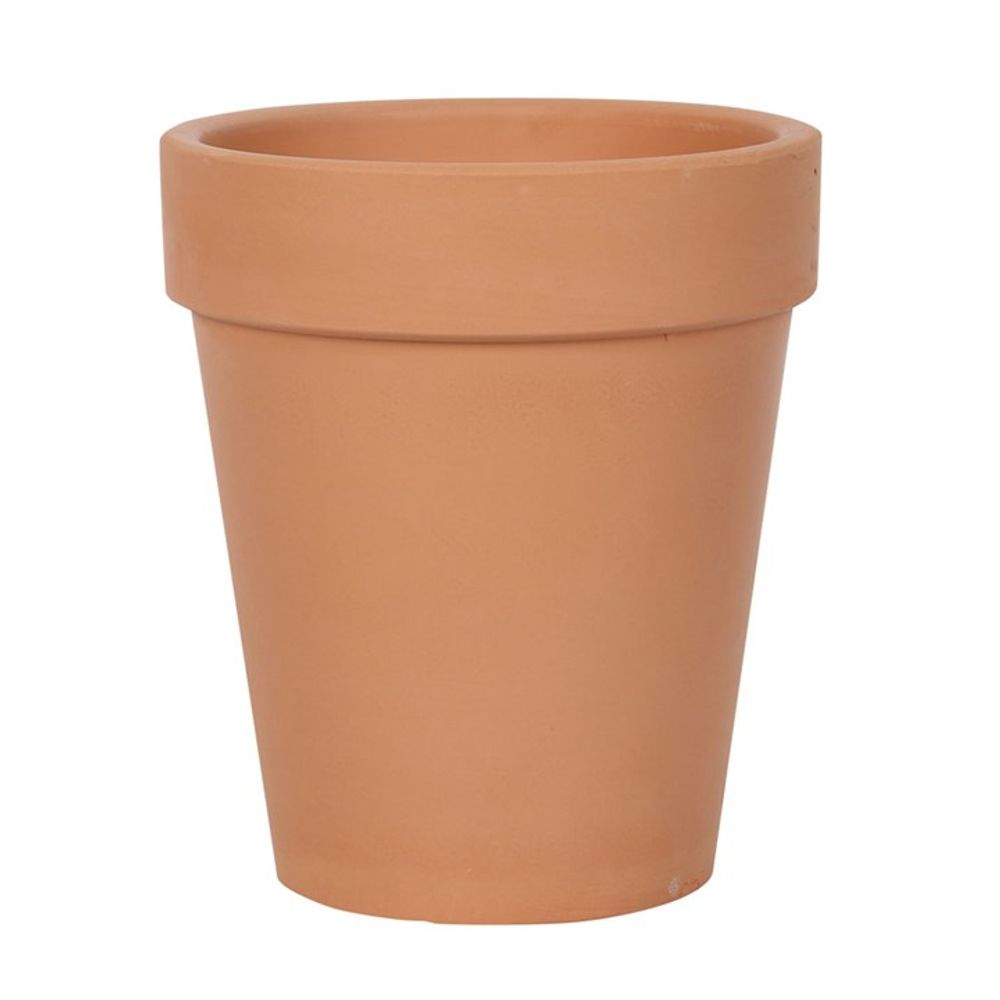 Love Grows Here Terracotta Plant Pot